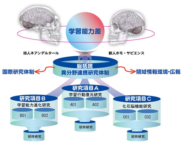 新学術領域研究:ネアンデルタールとサピエンス交替劇の真相/研究の組織